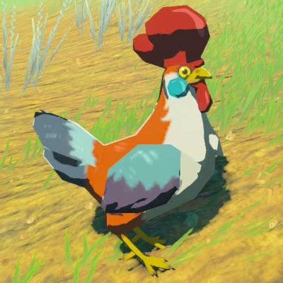 totk cucco